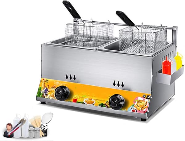 ZLYD Freidora de gas de mesa