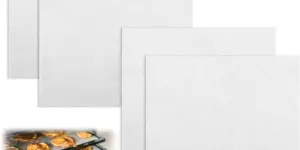 4 Piezas Hojas Deshidratadoras de Silicona