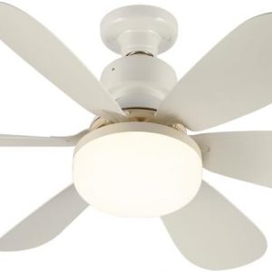 wonderlamp - Ventilador y Bombilla de