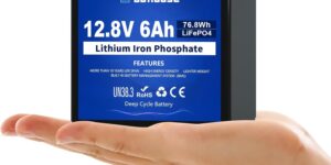 DCHOUSE Batería LiFePO4 pequeña de 12V...