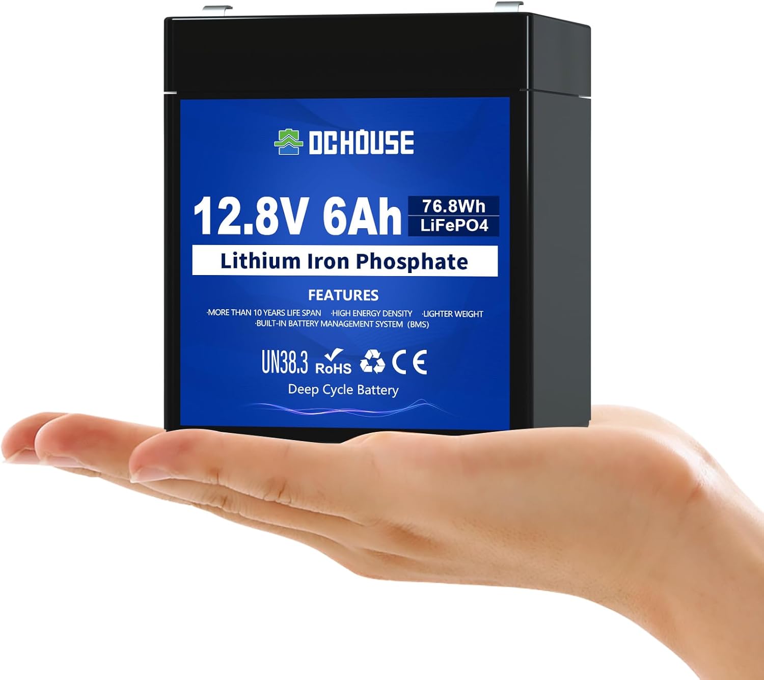 DCHOUSE Batería LiFePO4 pequeña de 12V...