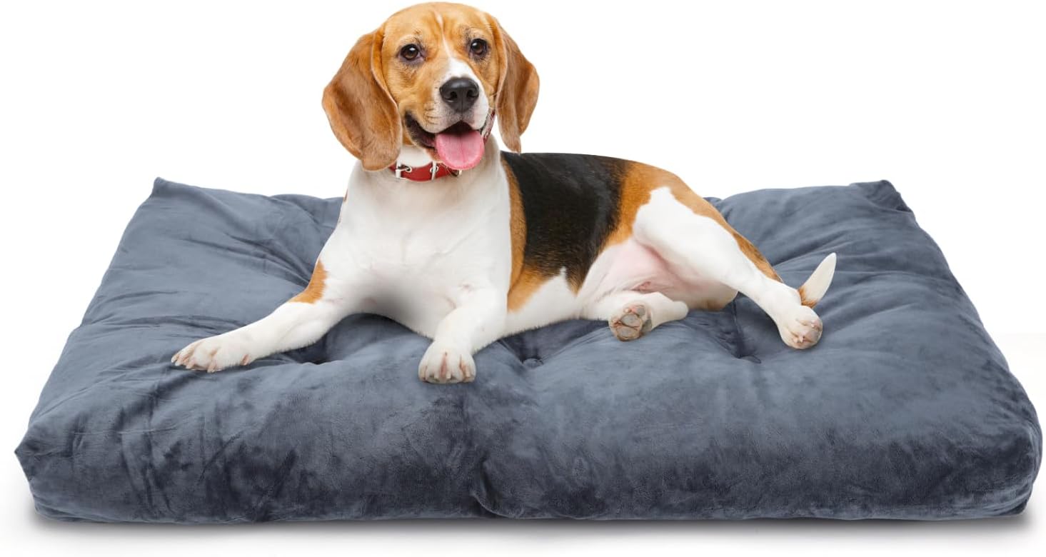 614PKlr1cdL._AC_SL1500_.jpg Nobleza Cama Perros Medianos Cama