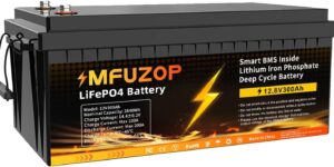 MFUZOP Batería Litio 12V 300Ah, BMS...
