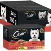 Cesar Pak Clasicos 3 X 8 X 150 Bh01W...