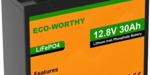 ECO-WORTHY Batería LiFePO4 de 12 V y 30...