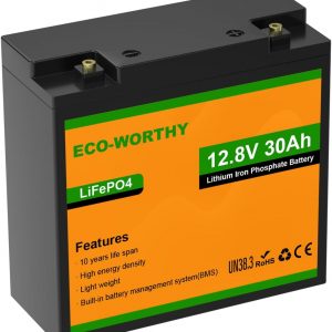 ECO-WORTHY Batería LiFePO4 de 12 V y 30...