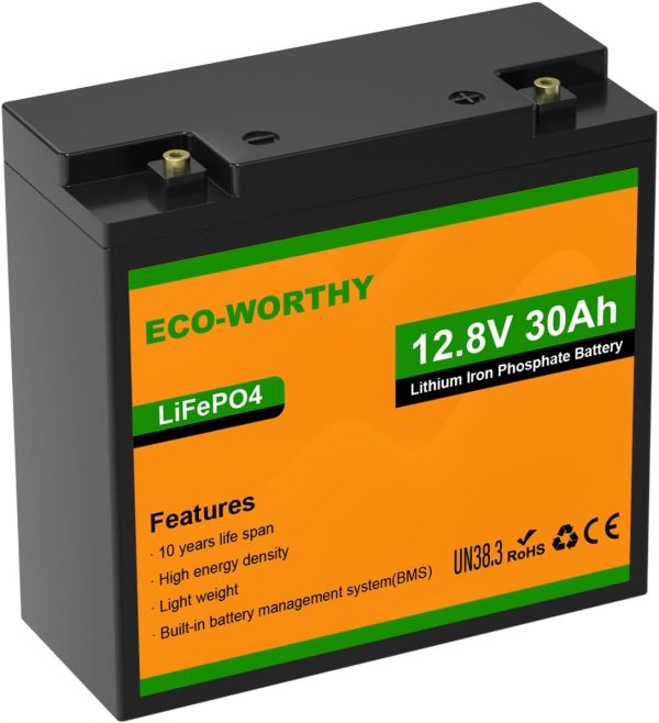 ECO-WORTHY Batería LiFePO4 de 12 V y 30...