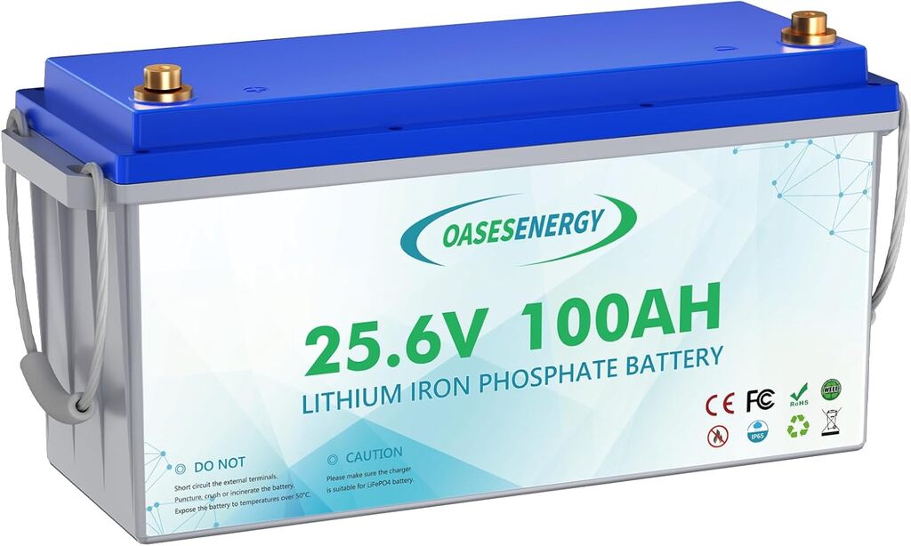 Oasesenergy Batería de Litio 24V 100Ah...