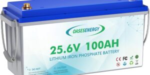 Oasesenergy Batería de Litio 24V 100Ah...