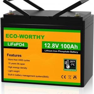 ECO-WORTHY Bateria Litio 12V 100Ah...