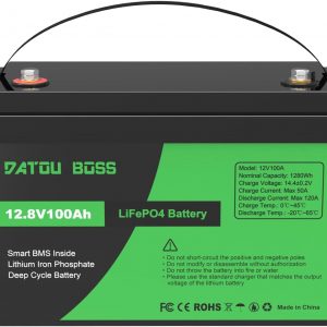 DATOUBOSS Batería 12V 100Ah LiFePO4...