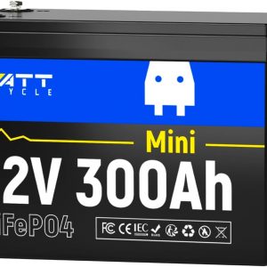Batería de litio LiFePO4 de 12 V y 300...
