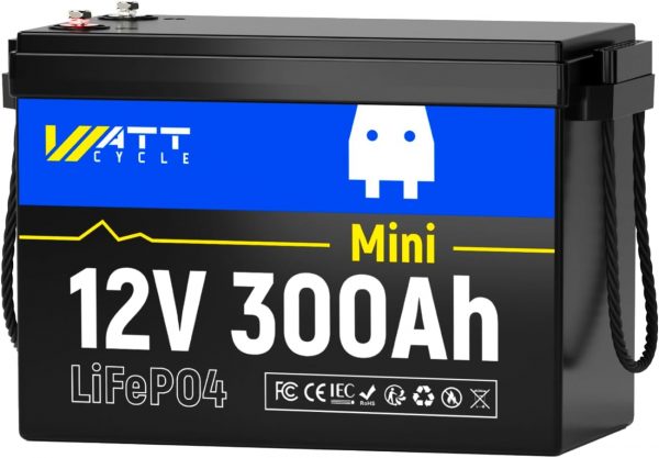 Batería de litio LiFePO4 de 12 V y 300...