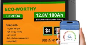 ECO-WORTHY Batería LiFePO4 de 12 V y...