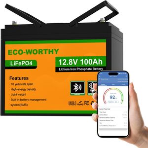ECO-WORTHY Batería LiFePO4 de 12 V y...