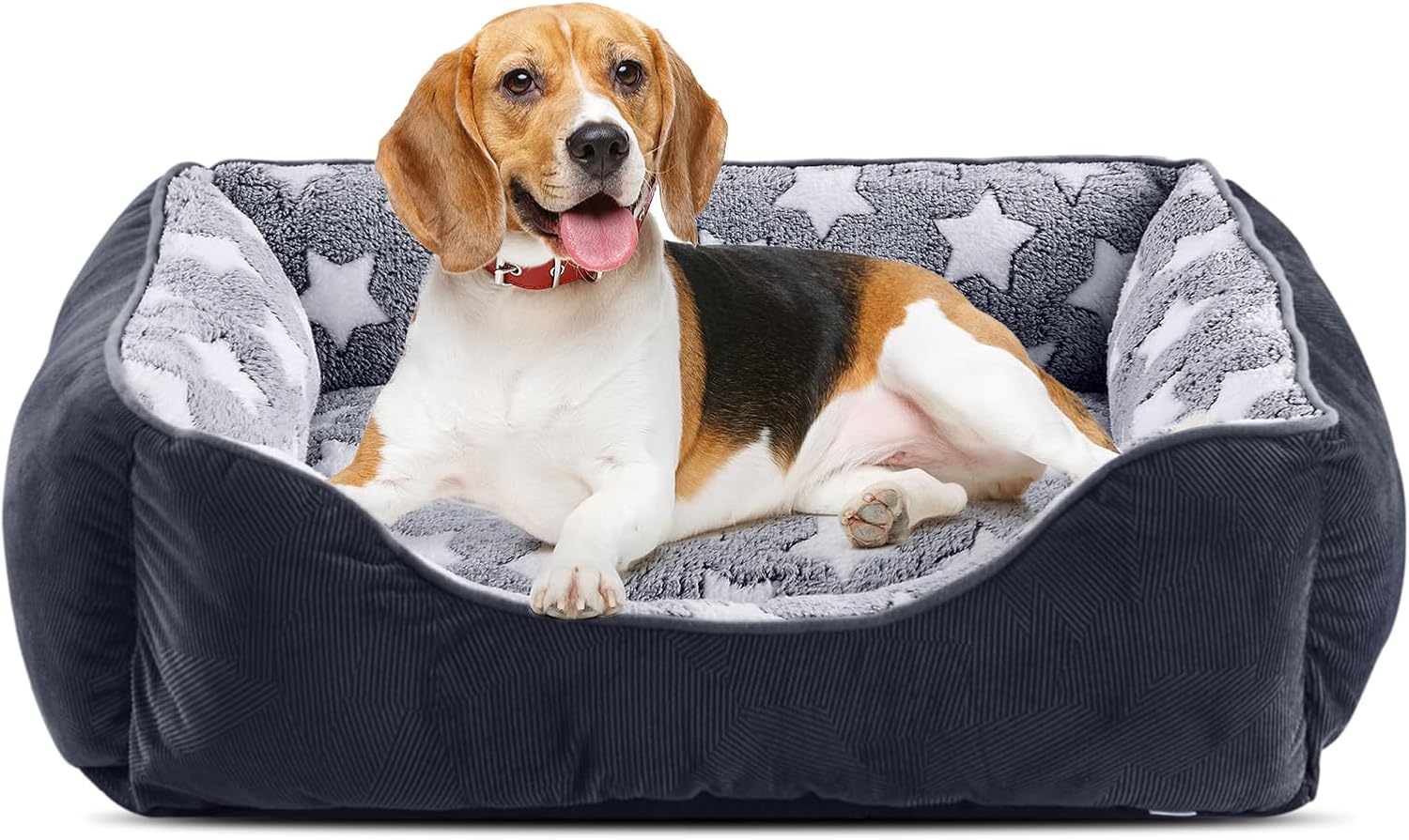 717mQwIZvEL._AC_SL1500_.jpg FURTIME Cama para Perros Pequeños