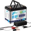 HRBEENERGY 12V 100AH LiFePO4 Batería,...