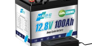 HRBEENERGY 12V 100AH LiFePO4 Batería,...