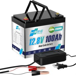 HRBEENERGY 12V 100AH LiFePO4 Batería,...