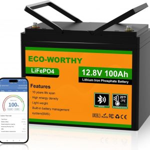 ECO-WORTHY - Batería de litio (12 V,...