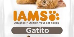 comida para gatos