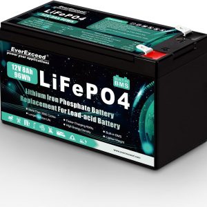 EverExceed 12V 8Ah Batería Recargable...