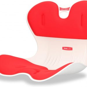 PMK GRUPO Ergonomic Lumbar Back Sea