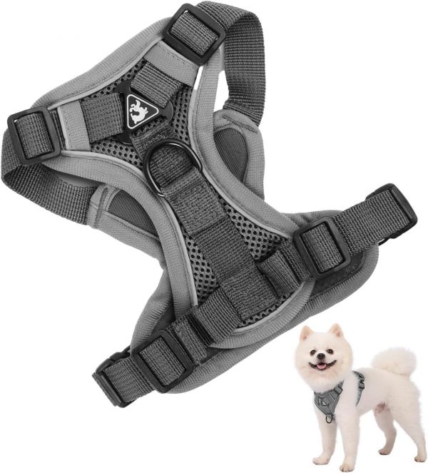 Arnes Perro Pequenos Medianos