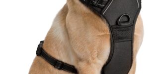 Arnés para Perros Grandes - Grande,