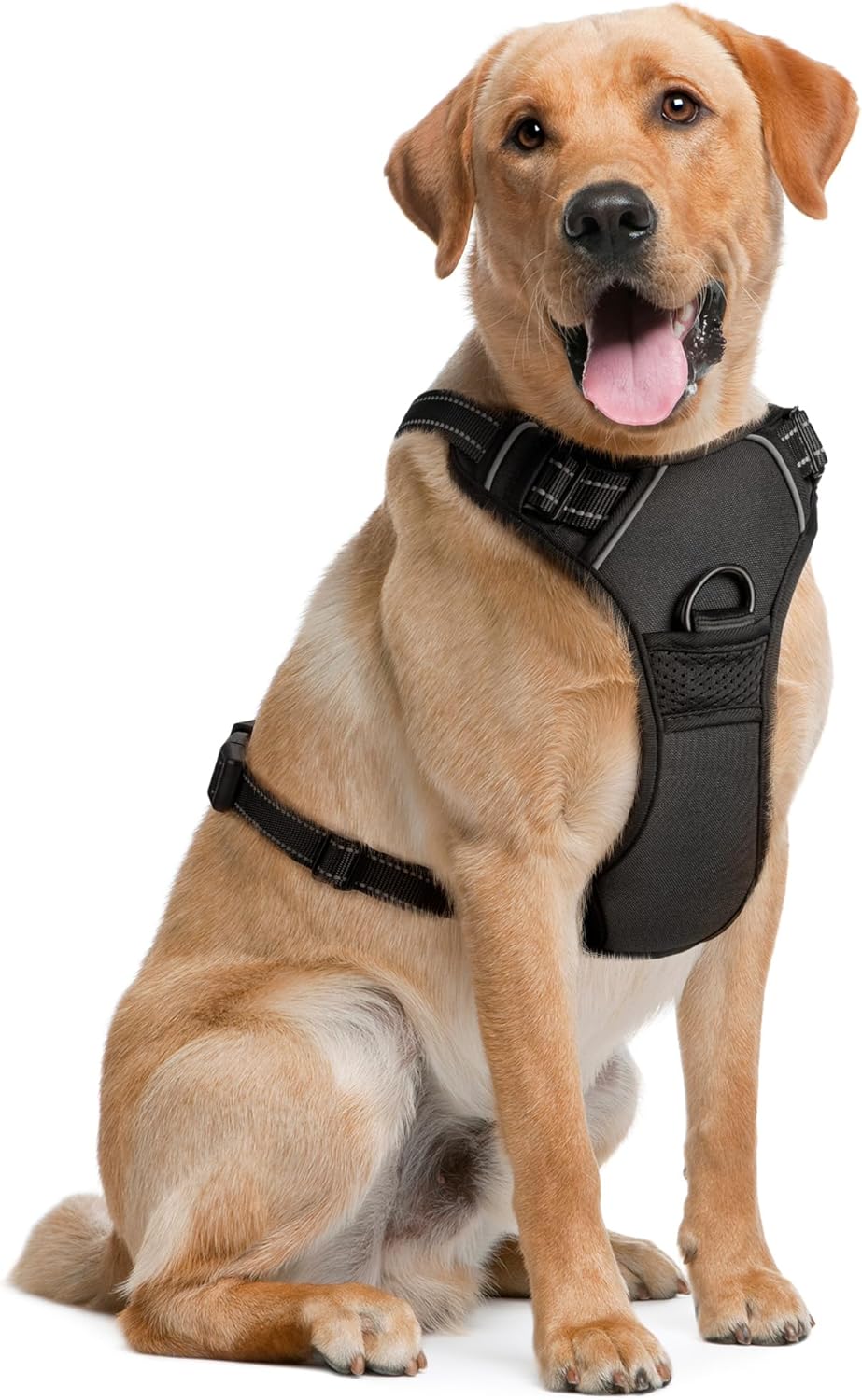 Arnés para Perros Grandes - Grande,