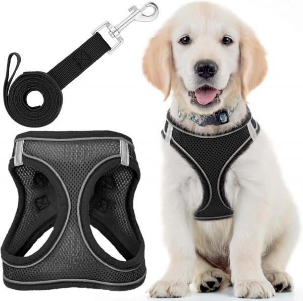 Arnes para Perros con Correa