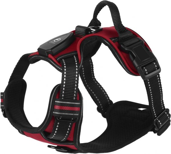 Arnes para Perros con LED