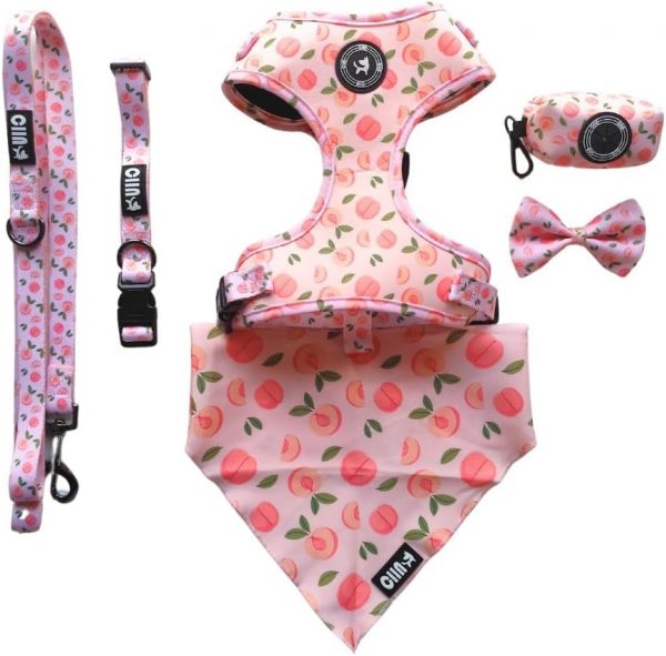 CIIN 2X1 en Set Arnes Perro Mediano