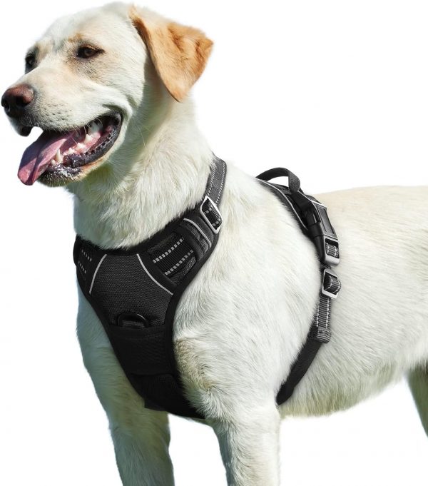 Eagloo Arnes Perro Grande Mediano