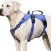 Huntboo Arnes Perro Pequeño Mediano