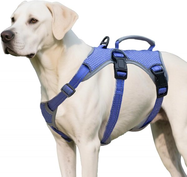 Huntboo Arnes Perro Pequeno Mediano