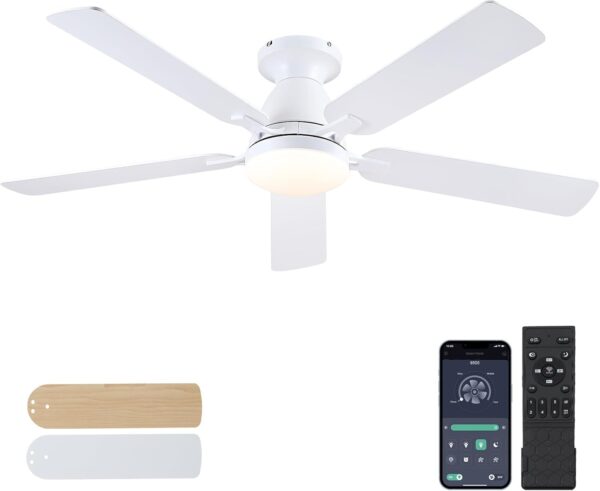 Ventiladores Techo Luces