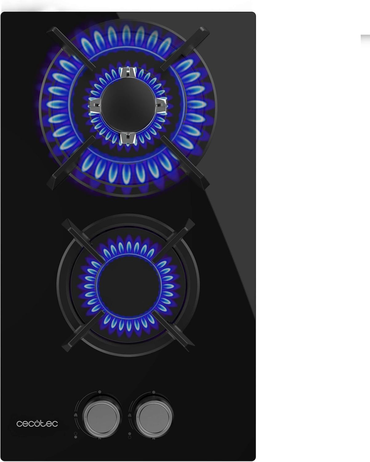 Cecotec Placa Gas 2 Fuegos