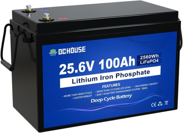 DCHOUSE Bateria Litio 24V 100Ah