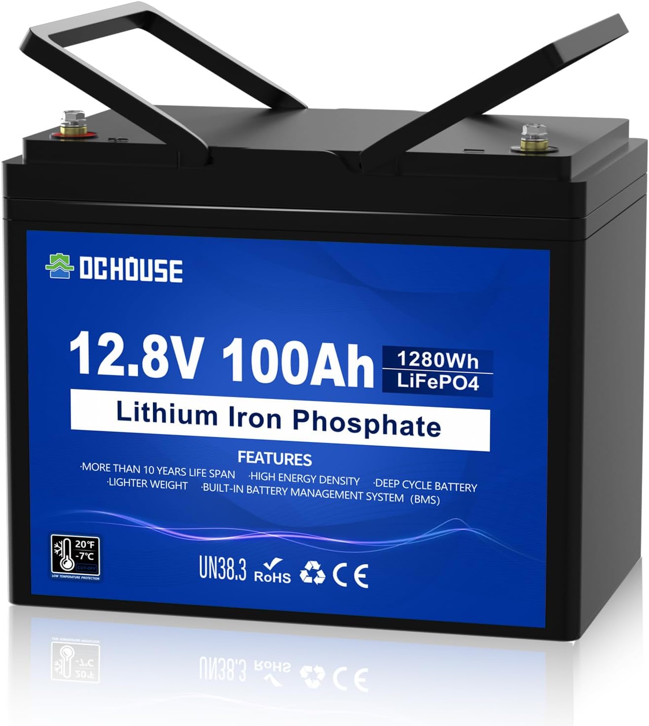 DCHOUSE Batería litio LiFePO4