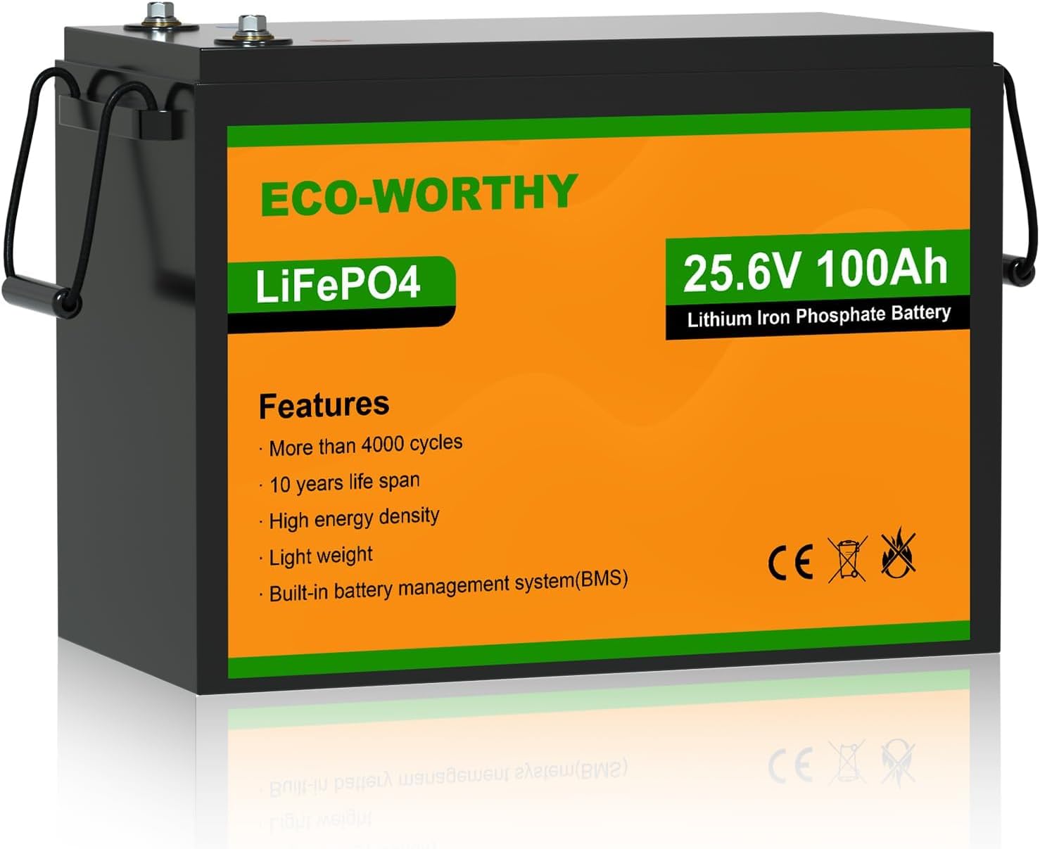 ECO-WORTHY LiFePO4 100Ah 24 V con ECOWORTHY LiFePO4 100Ah 24 V