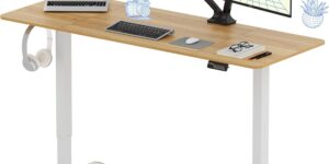 FLEXISPOT Escritorio Elevable FLEXISPOT Escritorio Elevable