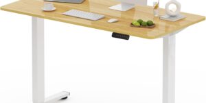 FLEXISPOT FQ Pro Escritorio