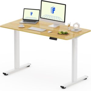 FLEXISPOT FQ Pro Escritorio FLEXISPOT FQ Pro Escritorio