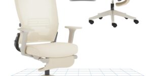 FLEXISPOT Foldex Silla Oficina