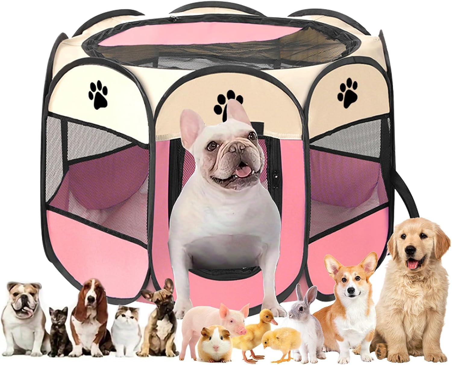 Caño para Cachorros Parque