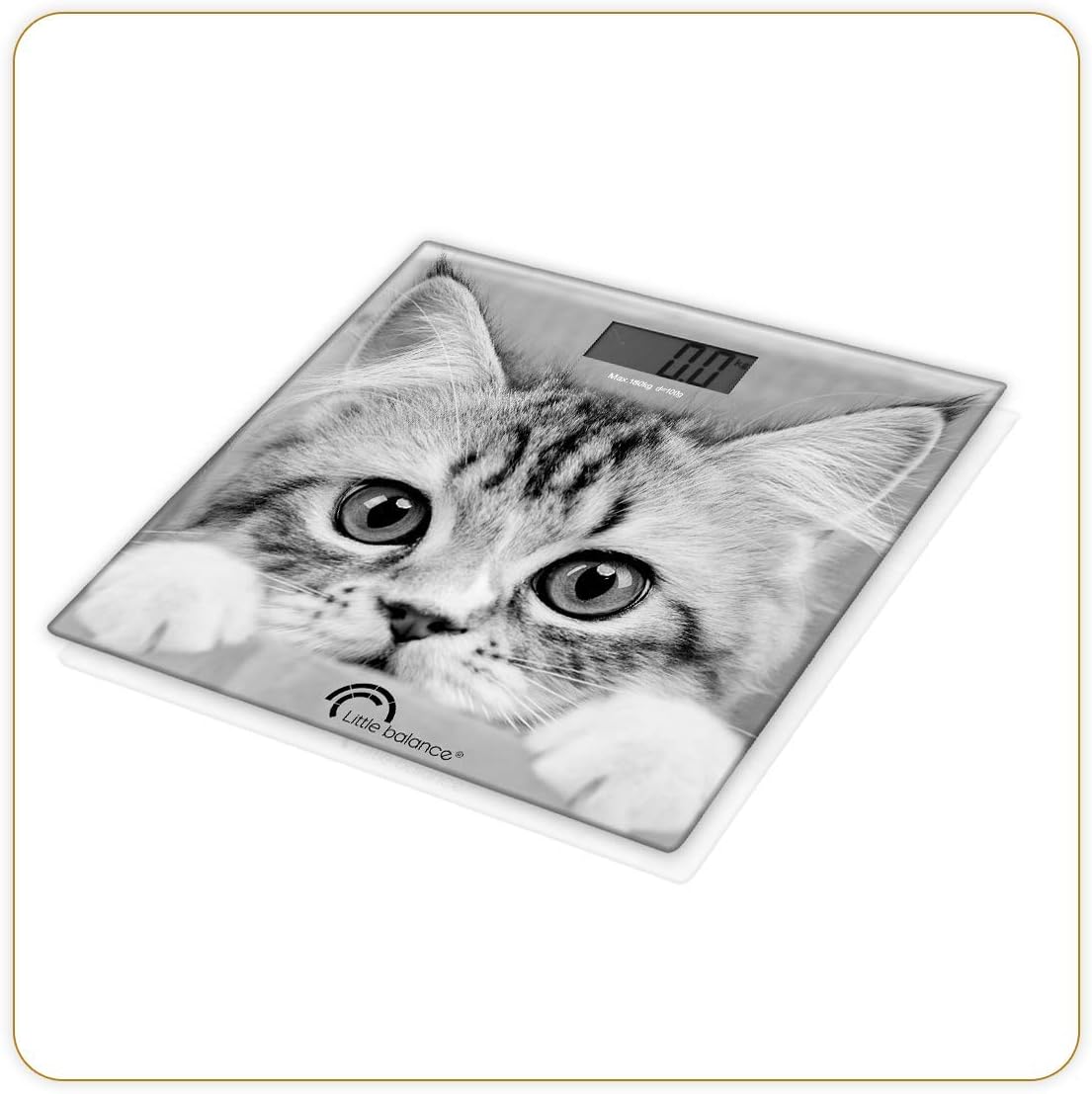 LITTLE BALANCE gato LITTLE BALANCE gato