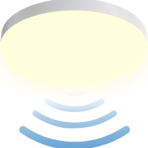 SHYOSUCCE LED Ceiling Light