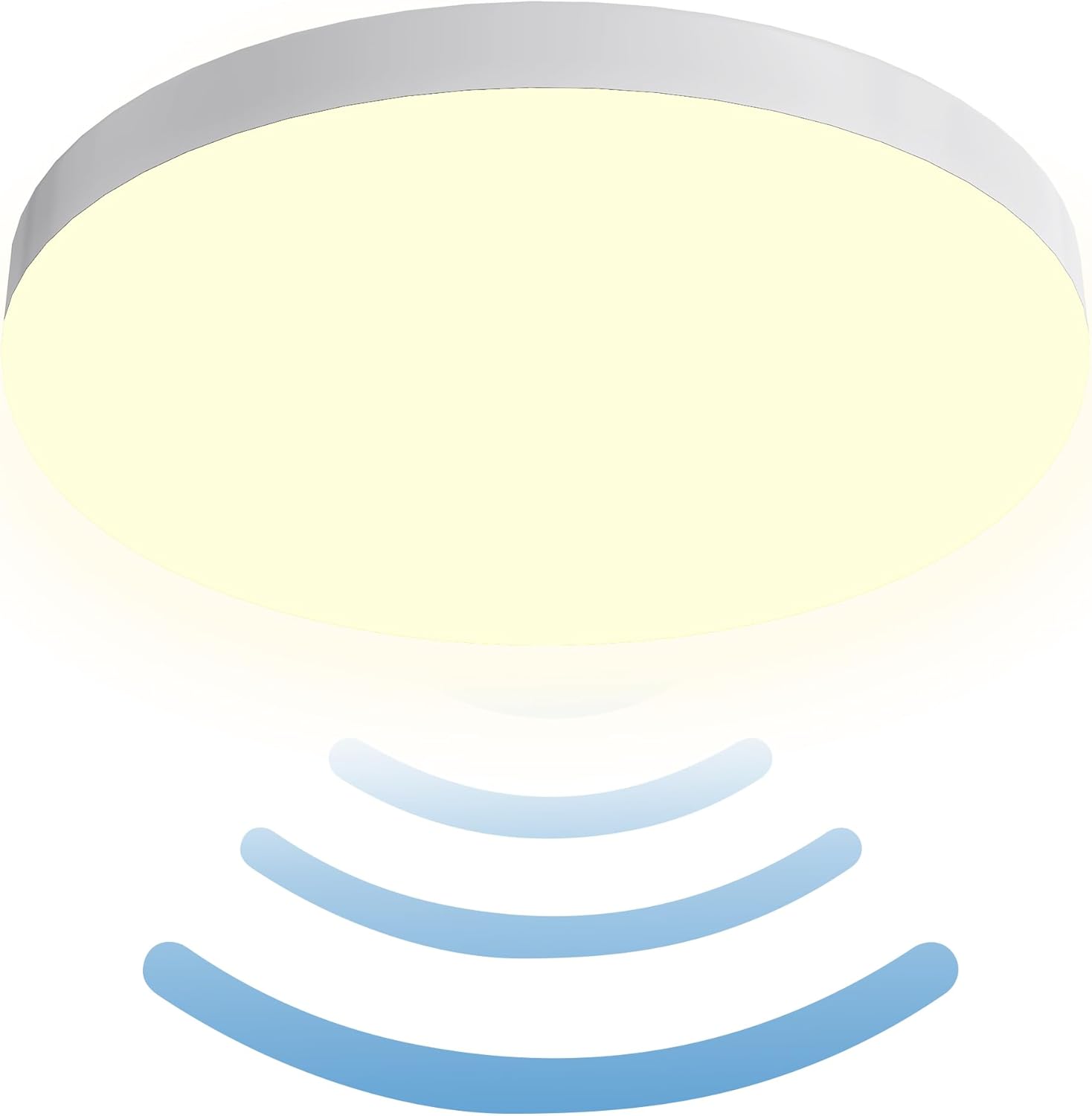 SHYOSUCCE LED Ceiling Light