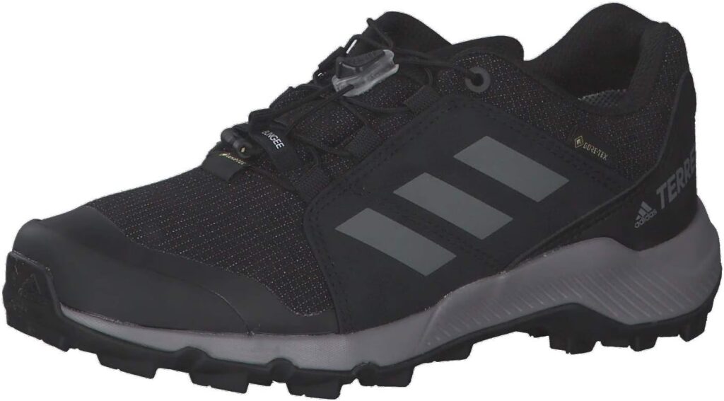 adidas Terrex Gore-Tex Hiking Shoes